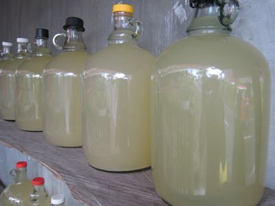 Suka.  Larawan mula sa marketmanila.com