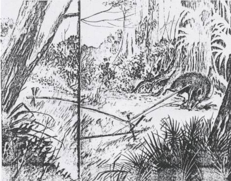 Balatik, panghuli ng hayup. Mula kay Dr. Dante Ambrosio.