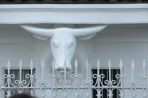 Kalabaw sa ilalim ng balkonahe.