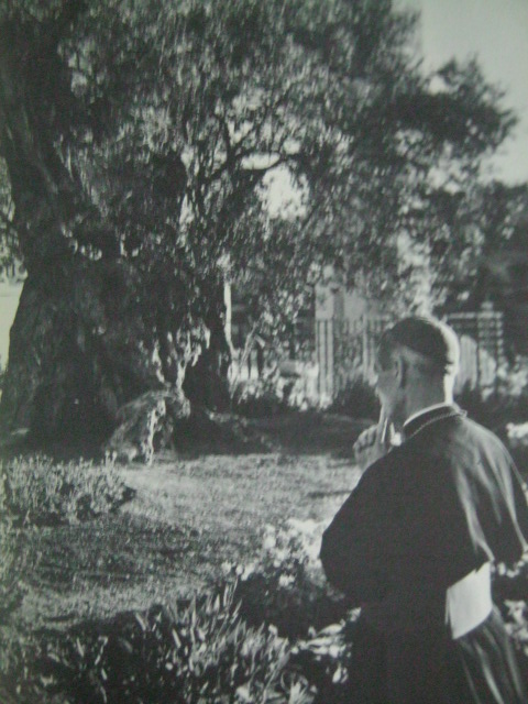 Si Obispo Fulton J. Sheen habang nananalangin sa Hardin ng Hetsemani. Kuha ni Yousuf Karsh mula sa This Is The Holy Land.