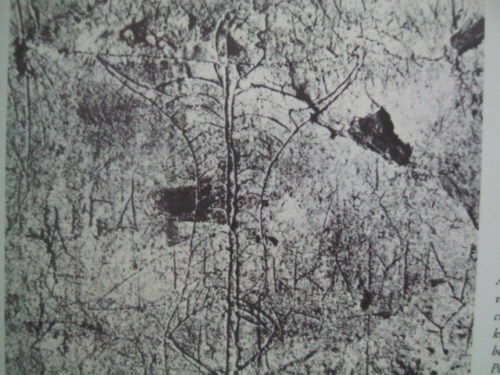 Sa Naples natagpuan ang graffito na ito ng nakapakong tao na nakahiwalay ang mga binti at nakaharap sa krus. Mula sa Jesus: The Evidence ni Ian Wilson.