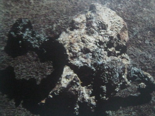 Ang pako na nakabaon pa rin sa buto ng sakong ng isang Hudyong si Jehohanan na napako sa krus noong unang siglo. Six and a half inches ang haba nito. Mula sa Jesus: The Evidence ni Ian Wilson.