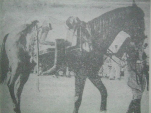 Riderless horse sa libing ni Magsaysay. Wala na ang Pangulo. Mula sa Magsaysay: The People's President.