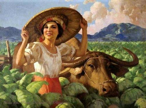 Woman In Tobacco Field