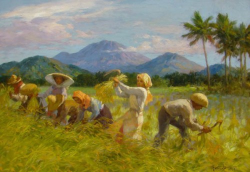 Rice Harvesting