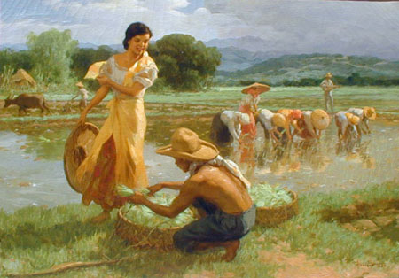 Rice Harvesting